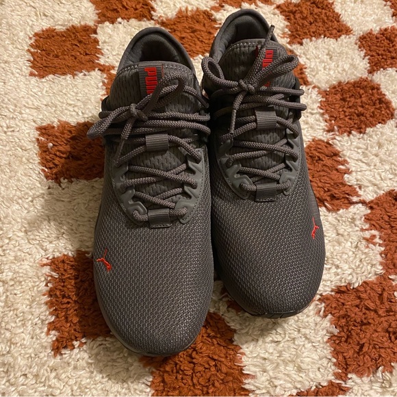 Pumas - Picture 1 of 4